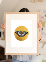 Gaudy Baron Butterfly LIMITED EDITION PRINT | Nussay Watercolor